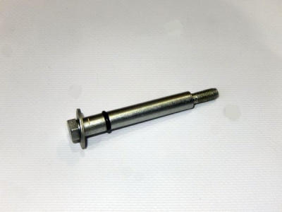 заказать Болт специальный (клапанной крышки) купить Болт специальный (клапанной крышки)